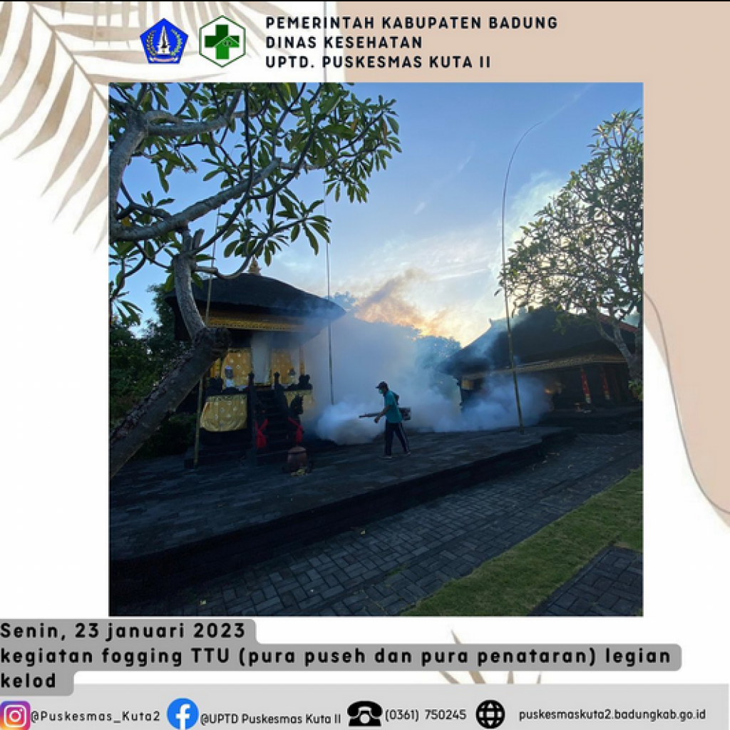 Kegiatan fogging TTU